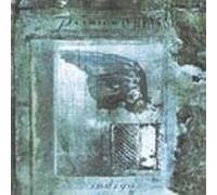 Indigo by Patrick O'Hearn