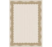 indigo Certificate Paper for Awards 200 GSM Premium A4 Printed Paper for Awards Pack 30 (Bronze Border)