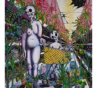 Indigo De Souza - Any Shape You Take [VINYL]