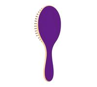 Indigo Detangling Hair Brush for all Hair Types, Detangler Brush Comb Hair Brush for Women, Men, Boys and Girls
