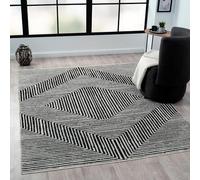 Indigo Ink - Washable Area Rug, Stain Resistant, Geometric Boho Decor, Ideal for Living Room, Bedroom, Office (5' x 7', Panther Black/White)