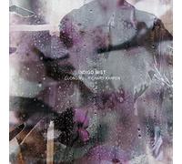 Indigo Mist - That The Days Go By And Never Come Again [VINYL]