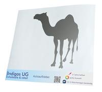 INDIGOS UG - Car Sticker - Decal - Llama Alpaca Camel - 200x177mm silver - Tuning - Rear Window - Bicycle - Motorcycle - Truck
