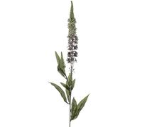 Individual Artificial Grey Veronica Amelia Stem, Tall Realistic Coloured Faux Silk Wild Flower, Country Baskets Veronica, Realistic Purple Silk Flowers, Spring Wild Faux Meadow Flowers.