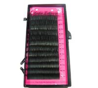 Individual False Fake Eyelashes 0.20 J Curl 12mm Lash Extensions Semi Permanent