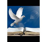 Individuation And Collective Consciousness: Discovering Our Immortal Self In The Telepathic Universe (Theistic Psychology - Expanding The Narrative ... Of The Ideas of Jung And Swedenborg)