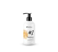 Indola Innova #2 Colorblaster Pigmented Conditioner Colour Conditioner Crema 300 ml, One Size