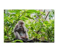 Indonesia Ubud Monkey Forest Bali Jigsaw Puzzle for Adults 100 Piece Travel Gift Souvenir 45,5x35,5CM