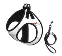 Indonesian Flag Map Print Small Dog Harness with Leash Set, No Escape Easy Walk Puppy Harnesses for Training Walking