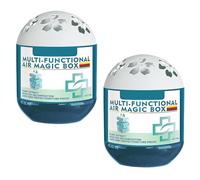 Indoor Air Purification Dust Removal Magic Box, Multi-Functional Air Magic Box Dust Cleaner, Automatic Dust Collection Air Purifier, Plant-Based Formula for All Home (2PCS)