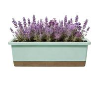Indoor and Outdoor Self-Watering Planter - Rectangular Planter for Flowers, Herbs, Drainage Hole, Absorbent Rope | Balcony Garden Sill Patio Seedlings African Purple Cuttings
