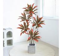Indoor Artificial Dragon Blood Tree, 150CM High with Flower Pot, Large Imitation Floor Plant for Home Decoration