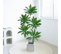Indoor Artificial Dragon Blood Tree, 150CM High with Flower Pot, Large Imitation Floor Plant for Home Decoration