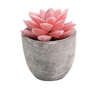 Indoor artificial succulent in for home office garden decor with lifelike appearance and long lasting color (7)