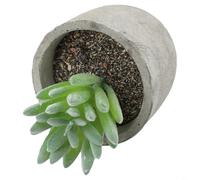 Indoor artificial succulent in for home office garden decor with lifelike appearance and long lasting color (8)