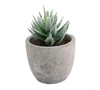 Indoor artificial succulent in for home office garden decor with lifelike appearance and long lasting color (10)