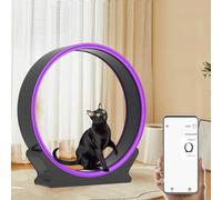 Indoor Cat Exercise Wheel, Snail-Shaped Treadmill with Scratcher & Storage for Active Cats