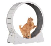 Indoor Cat Exercise Wheel, Ultra-Quiet Running Toy Treadmill for Fitness and Weight Loss, Easy Assembly Pet Activity Wheel