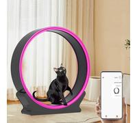 Indoor Cat Exercise Wheel with Scratcher and Storage, Snail-Shape Heavy Treadmill for Active Cats