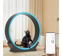 Indoor Cat Exercise Wheel with Scratcher and Storage, Snail-Shape Heavy Treadmill for Active Cats