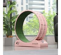 Indoor Cat Exercise Wheel with Silent Treadmill - Locking Mechanism for Safe Pet Fitness