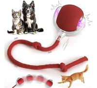 Indoor Cat Interactive Toy Ball Version 2025 -