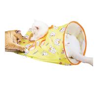Indoor Cat Toy Interactive Pet Exercise Toy Medium