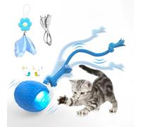 Indoor Cat Toys Ball