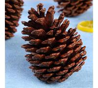 Indoor Christmas Decorations Exquisite Christmas Tree Decorative Chestnuts The First Choice For DIY And Shooting Props(C, 15X7CM)