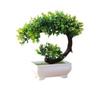Indoor Decorative Bonsai Tree Made of Plastic for Living Room Office or Store Display with Compact Size and Realistic Shape (1)