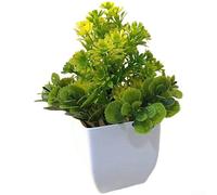 Indoor Decorative Chrysanthemum Bonsai Made Of Plastic With Square Base For Tabletop Shelf And Counter Styling(Green And Yellow)