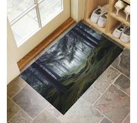 Indoor Door Mat 40 x 60 cm Washable Inside Entry Rug Forest Dirt Path Non-Slip Doormats Super Soft Misty Primeval Forest Floor Mats Low-Profile Entrance Rug for Patio, Front Back Door, Moss Green