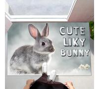 Indoor Doormats, 80x120 cm Door Mat Non Slip Backing, Cute Hare Dirt Trapper Mat Animal Absorbent Doormat for Entrance,Inside,Kitchen,Front Back Door Grey