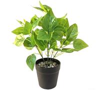Indoor Fake Bonsai Tree 28cm Low Maintenance Office(Green)