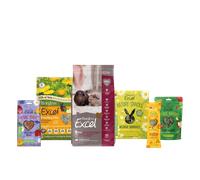 Indoor Guinea Pig Bundle