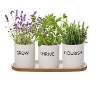 Indoor Herb Garden Window Box Cocktail Herb Planter Set Gardening Gift | Drainage Hole, Tray, Embossed Planter, Herb Pots, Herb Garden, Windowsill Pots, Kitchen Herbs