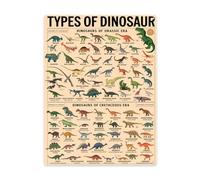 Indoor Interior Styling Piece 12x16 Inch Metal Wall Sign Featuring Types Of Dinosaur Knowledge Modern Retro Home Detail Fits Living Room Or Study Decorative Interior Wall Accent