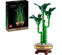 Indoor Lucky Bamboo Plant Set Buildable Pot Decor for Adults Gift Idea