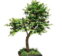 Indoor Ornamental Fruit Bearing Artificial Topiary, Dense Crown Fake Peach Lemon Berry Potted Tree for Hotel Lobby, Mall Window and Home Living Room Decor(F,1.8m x 1.2m)