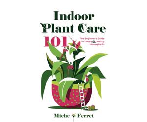 Indoor Plant Care 101: The Beginner's Guide to Happy & Healthy Houseplants