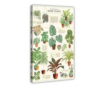 Indoor Plant Growing Guide Canvas Poster Wall Art Decor Print Picture Paintings for Living Room Bedroom Decoration 20x30inch(50x75cm)