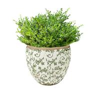 Indoor Plant Pot Botanical Floral Print Ceramic Jardinière Planter with Distressed Effect Finish Watertight Cachepot Vintage Victorian Style Houseplant Pot Windowsill Herb Planter (Large) - DZ89