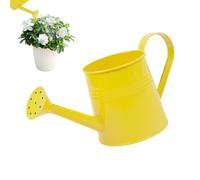 Indoor Plant Watering Can 1L Capacity Long Spout