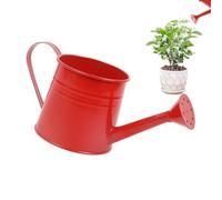 Indoor Plant Watering Can 1L Flower Vase Pot