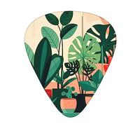 Indoor potted green plants the 12-piece guitar picks include three picks: thin, medium and heavy. suitable for electric, acoustic and bass guitars of all strengths