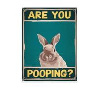Indoor Rabbit Decor Are You Pooping Retro Metal Wall Plaque 12x16 Inch Apartment Hallway Or Entryway Modern Retro Home Detail Home With Classic Character Interior Wall Accent