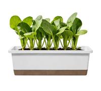 Indoor Self-Watering Plant Pots - Root Health, Vegetable Container with Base, Drainage Hole, and Absorbent Rectangular Rope Flower Pots for Garden, Living Room, Bedroom, Indoor