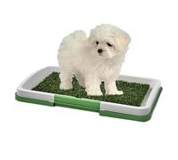 Indoor Turf Dog Potty - 46x35cm Training Mat, ABS Artificial Grass, Lightweight Reusable Pee Pad with Tray | Durrable Splashproof Grass Pad for Puppies Small Dogs, Easy Cleaning Home and Office