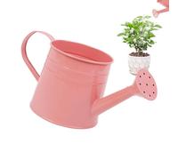 Indoor Watering Can 1 Liter Flower Vase, Small Planter Pot