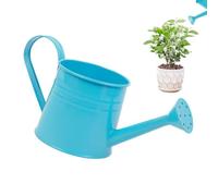 Indoor Watering Can 1 Liter Flower Vase, Small Planter Pot